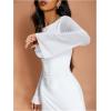 imageMakeMeChic Womens Leopard Print Dress Y2k Backless Mesh Bell Sleeve Mini Cheetah Print DressSolid White