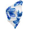 Blue and White