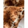 image:imageMakeMeChic Womens Faux Fur Vest Tops Fuzzy Sleeveless Fur Jacket Coat OuterwearLeopard Brown